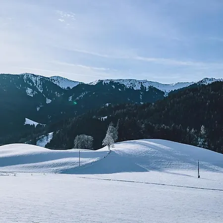 Adamhof Spielberg *