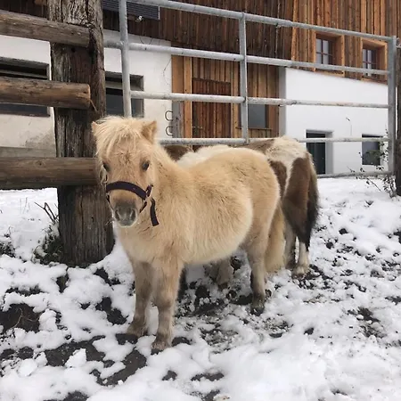 Apartamento Adamhof Spielberg Leogang