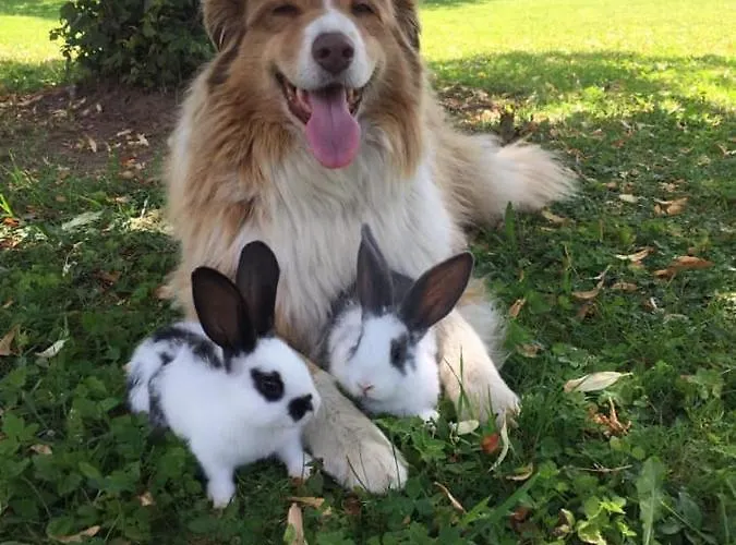 아파트 Adamhof Spielberg