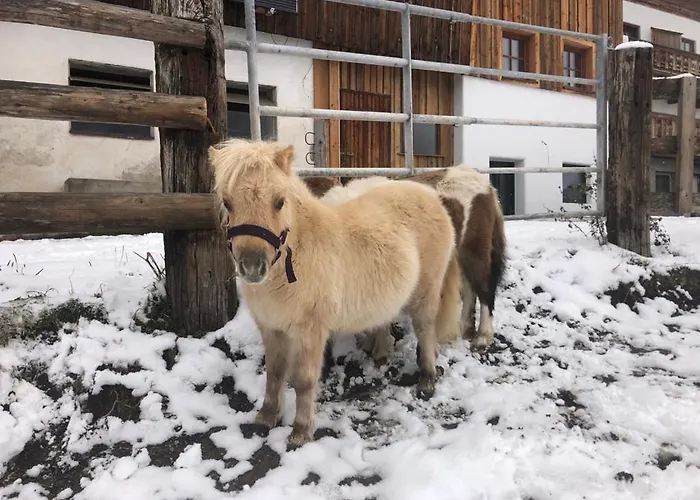 公寓 Adamhof Spielberg 莱奥冈